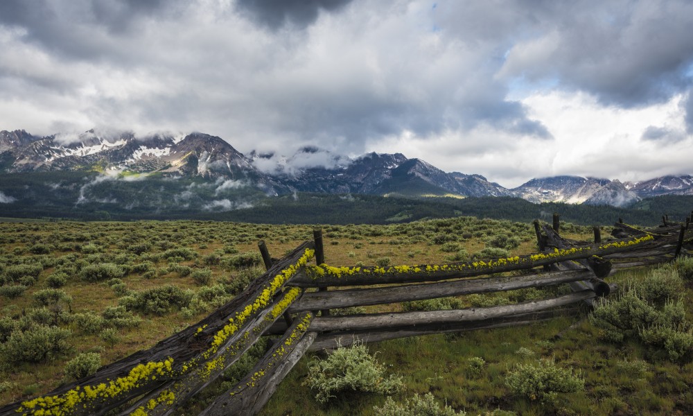 Recruiting in Idaho, for Idaho