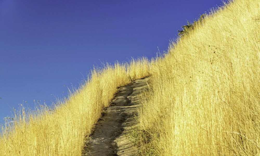 Day 1: Finding My Route