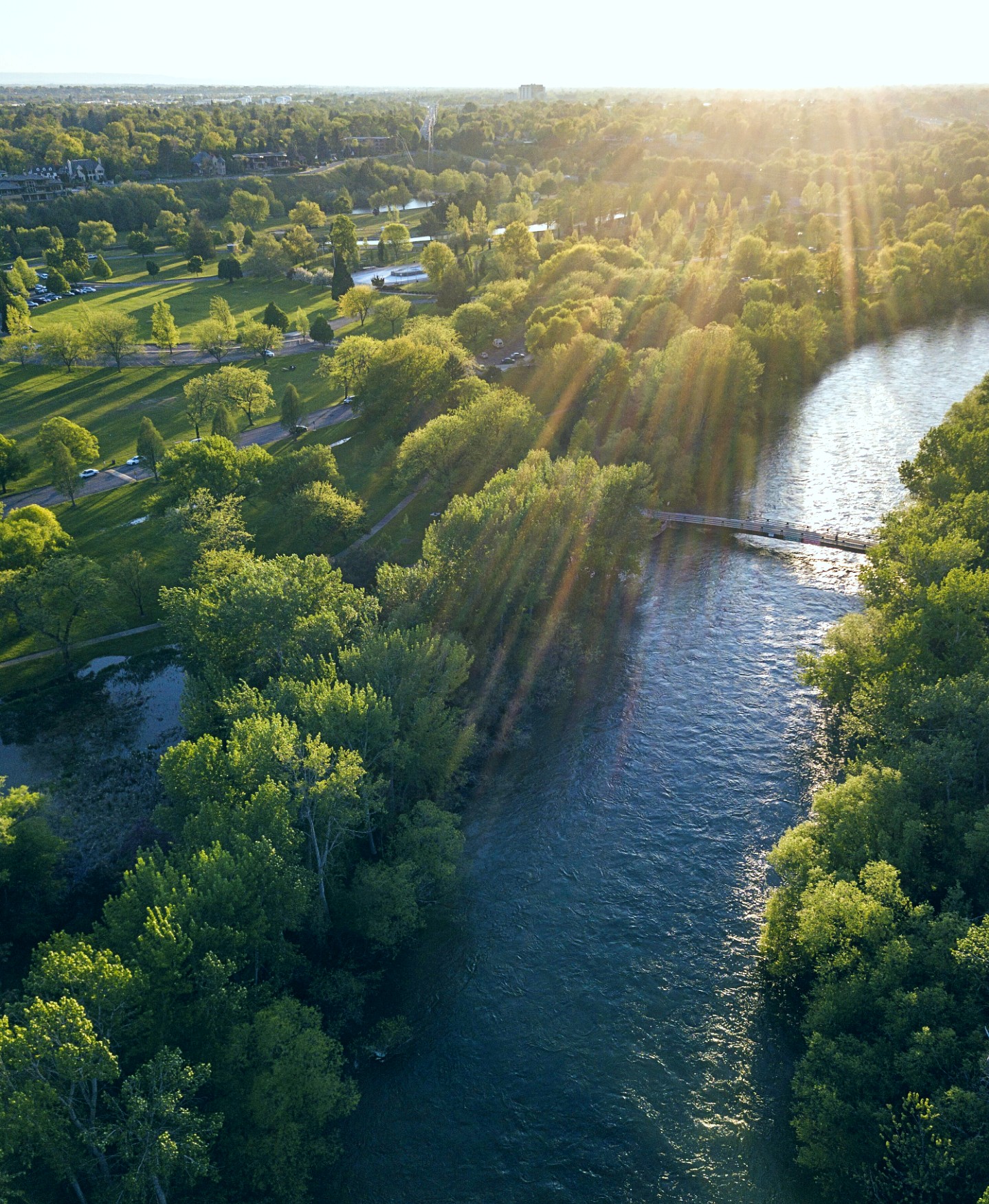 Maximize Productivity: Tips and More!