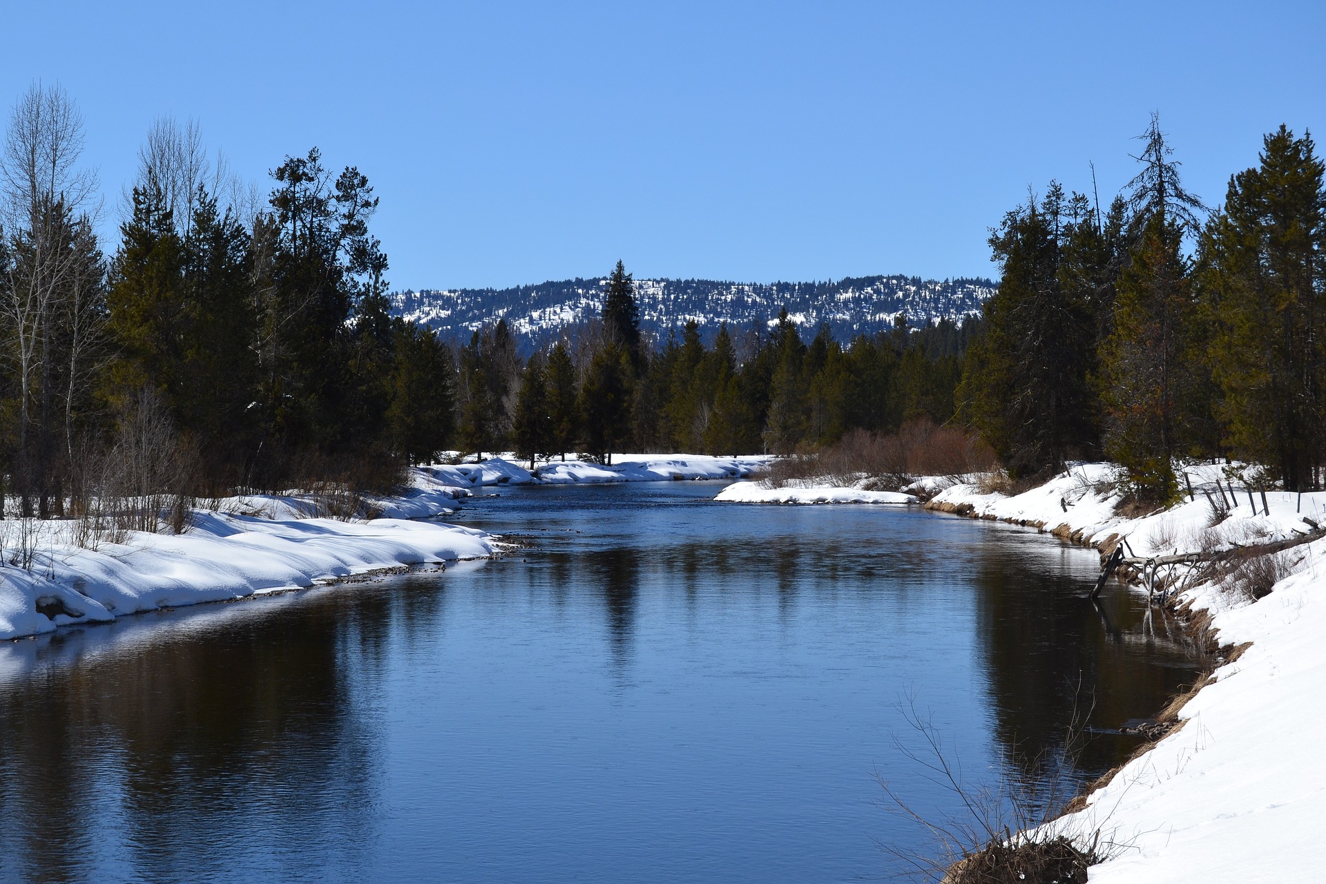 The Boise Winter- An Insider’s Perspective