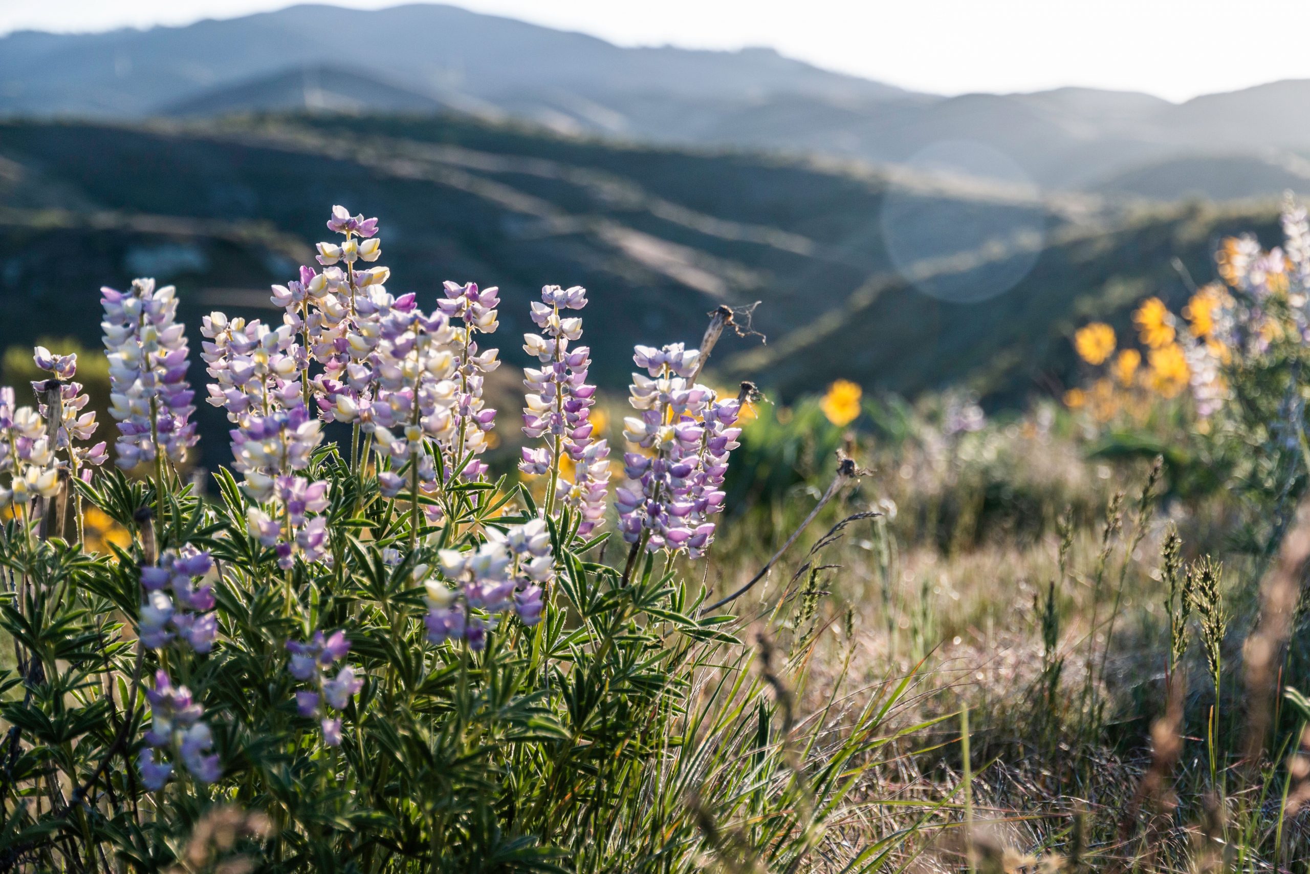 Recruiting for Business: Expanding Your Team