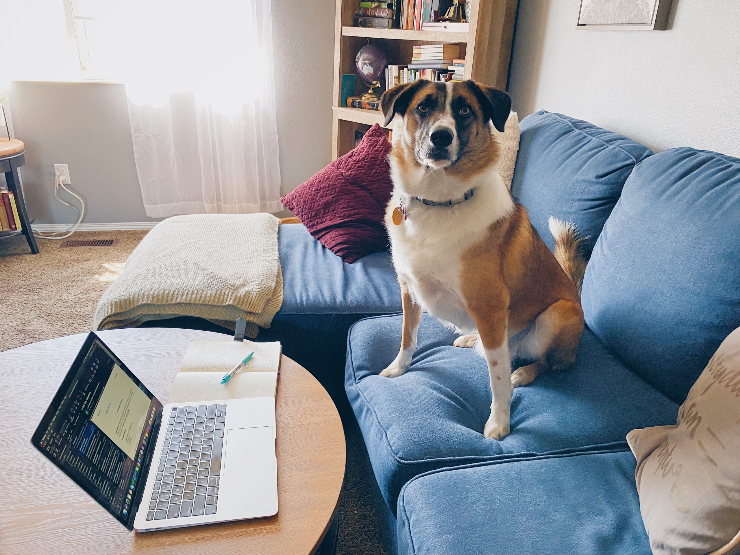 A Day in a Recruiter’s Life!