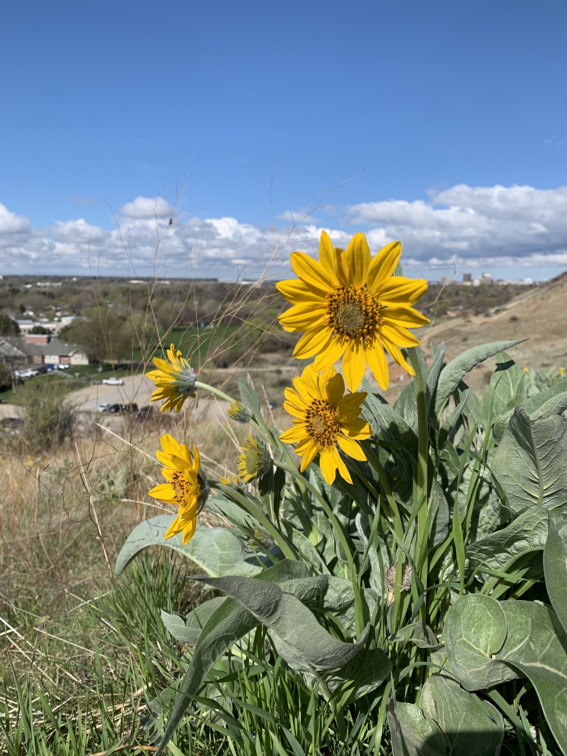 The Power of Persistence, A Webinar by RNG