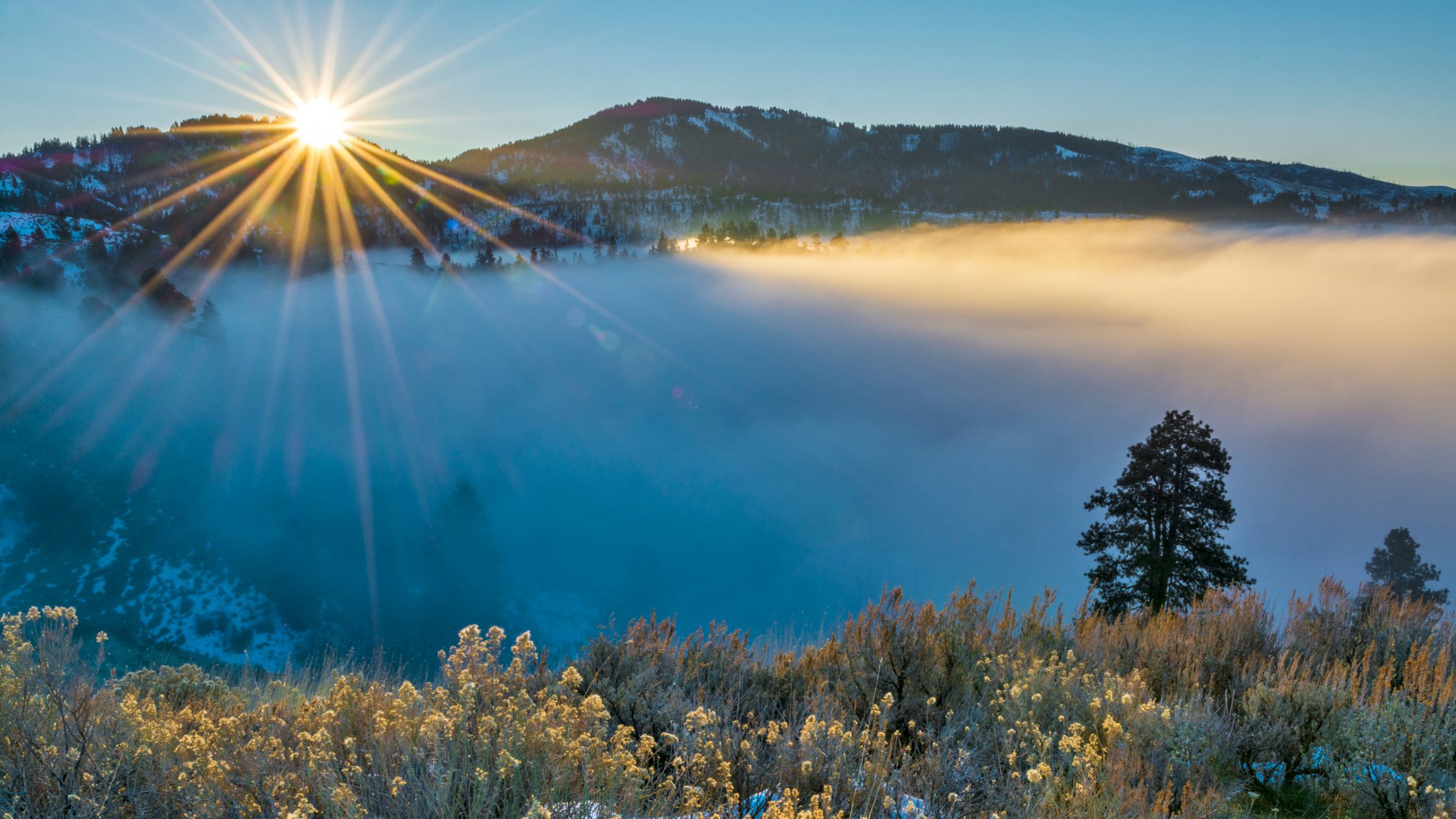 The Recruiting Process: Tracking A Unicorn